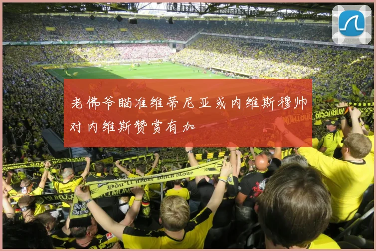 老佛爷瞄准维蒂尼亚或内维斯穆帅对内维斯赞赏有加